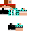 Texture for Satoro_Craft