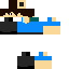 Texture for Kite