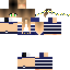 Texture for AceCatalyst