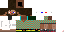 Texture for DeXteR