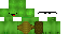 Texture for Turtle