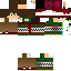 Texture for _MegmanPvP