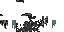 Texture for Skeleton puppet overlay