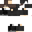 Texture for cfox2000