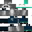 Texture for Mapache Z v2