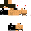 Texture for Dragonlore01