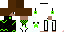 Texture for Steve