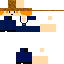 Texture for たこらいす