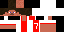 Texture for Ajax player