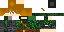 Texture for Survivor