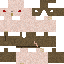 Texture for plague monk
