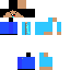 Texture for miguel primo