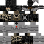 Texture for exp. 5.0