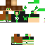 Texture for romulo