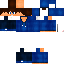Texture for Rapos