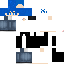 Texture for plam1