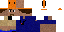 Texture for guide