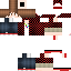 Texture for Shaurya Krishna Rao