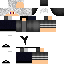 Texture for Robin [V2]