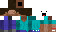 Texture for WTF Steve
