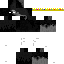 Texture for Real Not_Faushall