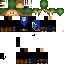 Texture for Link