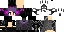 Texture for Ender