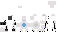 Texture for atlas