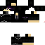 Texture for Ender_TYP