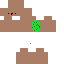 Texture for turtel