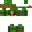 Texture for tortue ninja