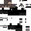 Texture for sasacarot