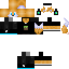 Texture for perfecsion 2