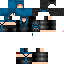 Texture for spider2 