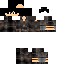 Texture for Francisco