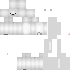 Texture for MANUPOLAR2