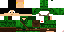 Texture for ds