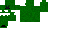 Texture for creeper_cat