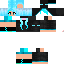 Texture for ender