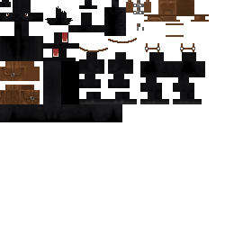 Texture for hourse