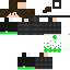 Texture for Steve