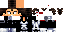 Texture for Steve