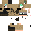 Texture for FullyControl