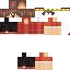 Texture for _Drent_