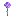 Texture for Allium Berbeck