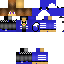 Texture for Steve