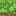 Texture for grass_side