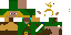Texture for Link