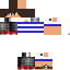 Texture for Léon Pokémon
