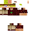 Texture for ds